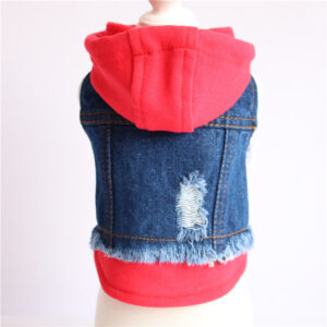 Pet Clothes Are Better Than Teddy Bears